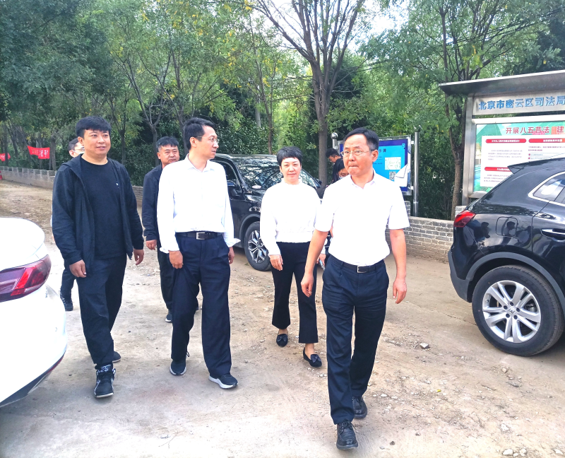 图片7