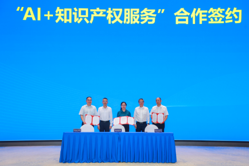 图片5