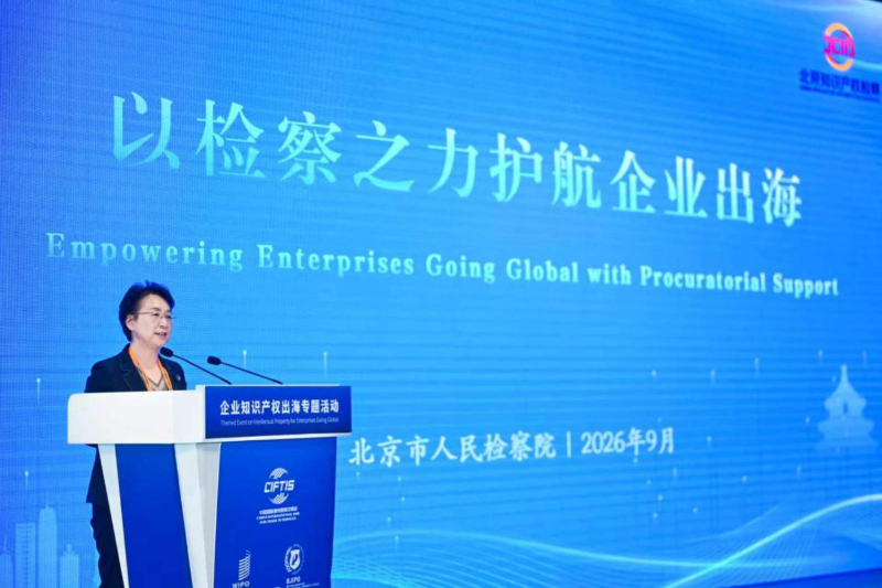 图片9